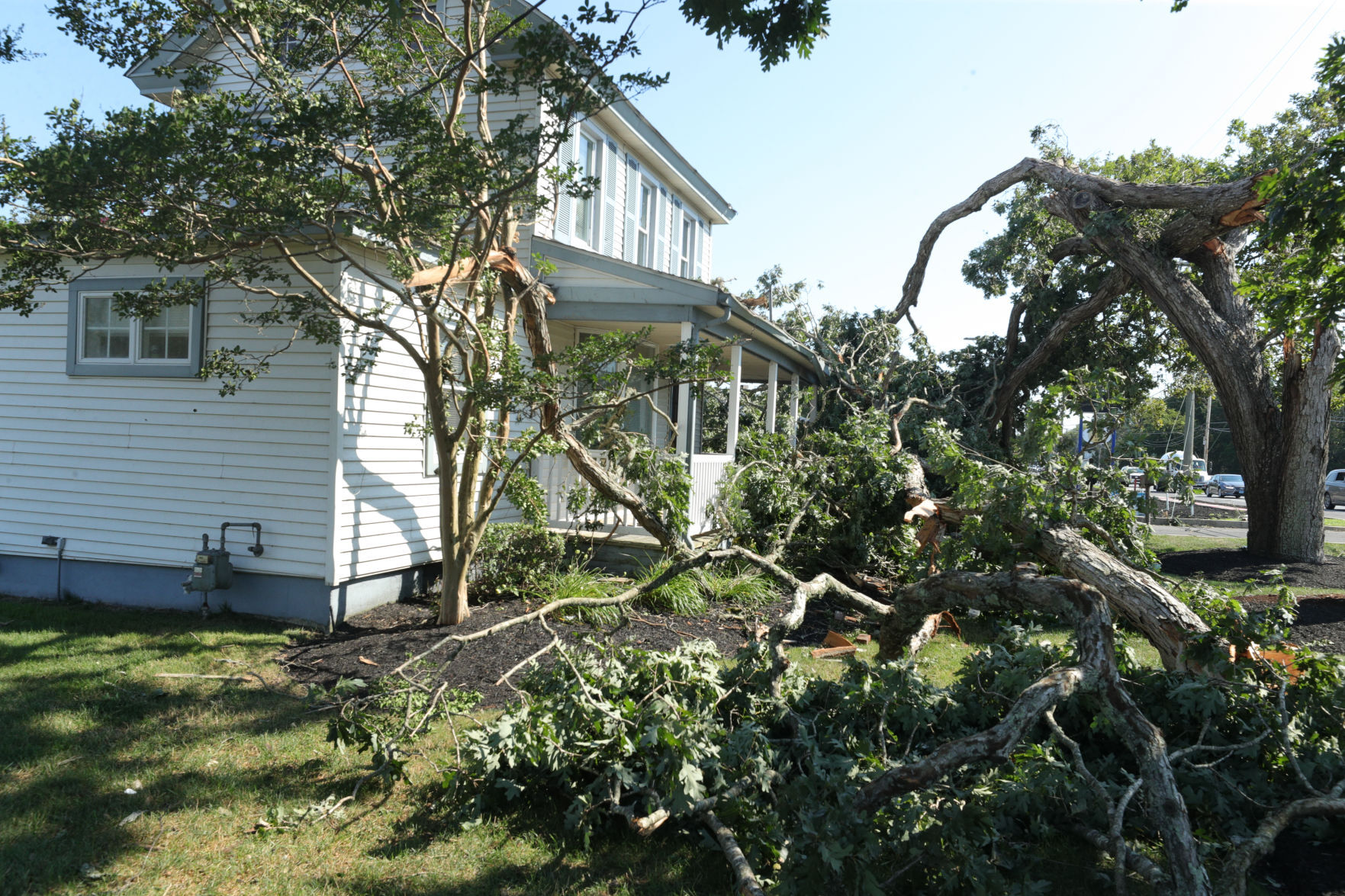 Isaias Storm aftermath